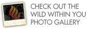 Check out the Wild Within You Photo Gallery